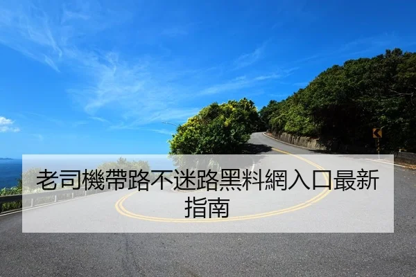 老司機帶路不迷路黑料網入口最新指南